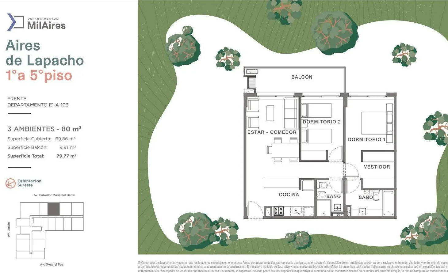 Plano 6