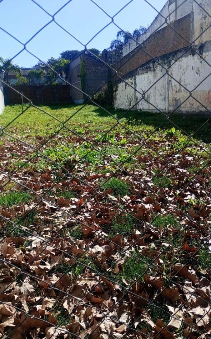 Foto de Unico lote en venta Ex colegio Aleman 520 m², imagen 2