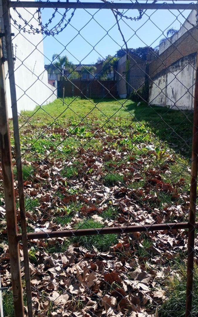 Foto de Unico lote en venta Ex colegio Aleman 520 m², imagen 4
