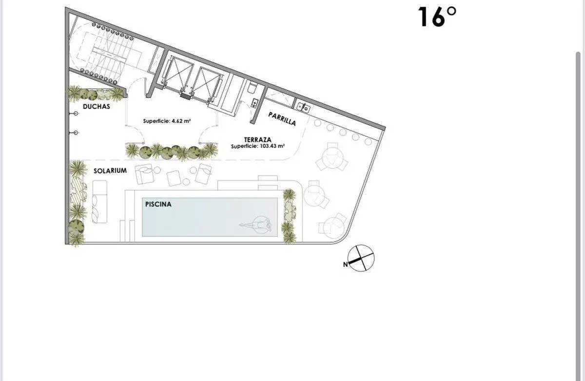 Plano 7