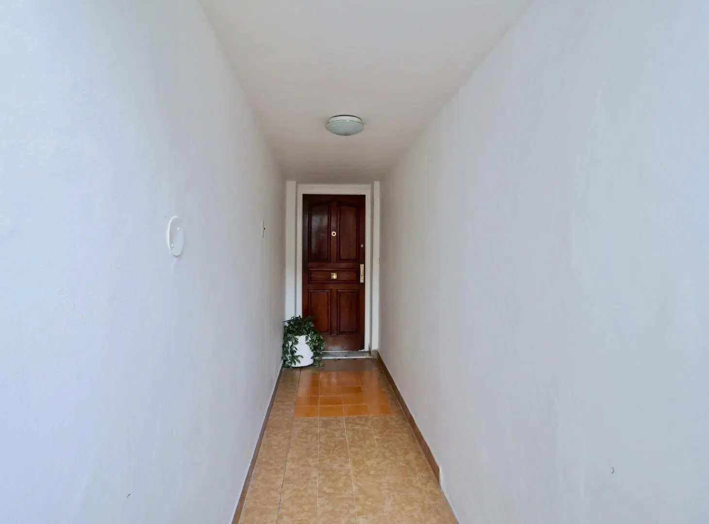 VENTA COLEGIALES- PH 4 AMB- TERRAZA PROPIA 3