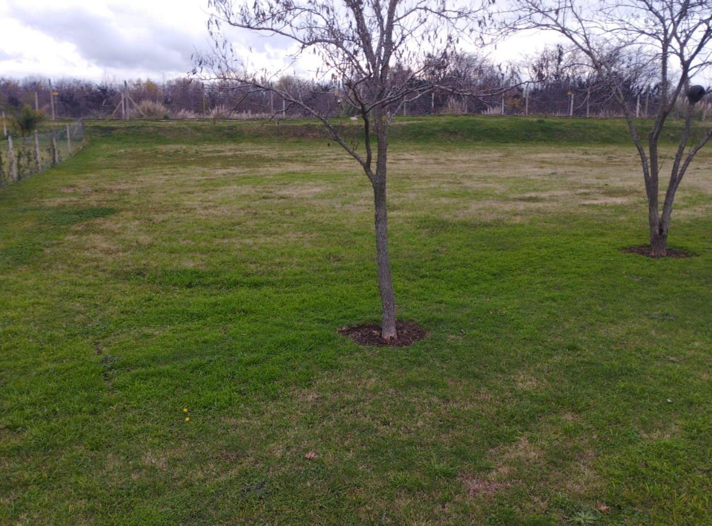 Foto de VENTA LOTE SAN SEBASTIAN- AREA 11, imagen 4