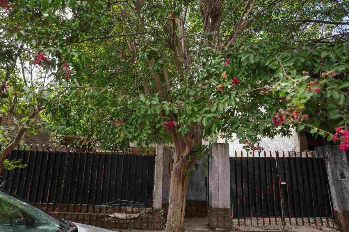 VENTA EXCELENTE LOTE TERRENO CON MEJORAS ITUZAINGÓ 3