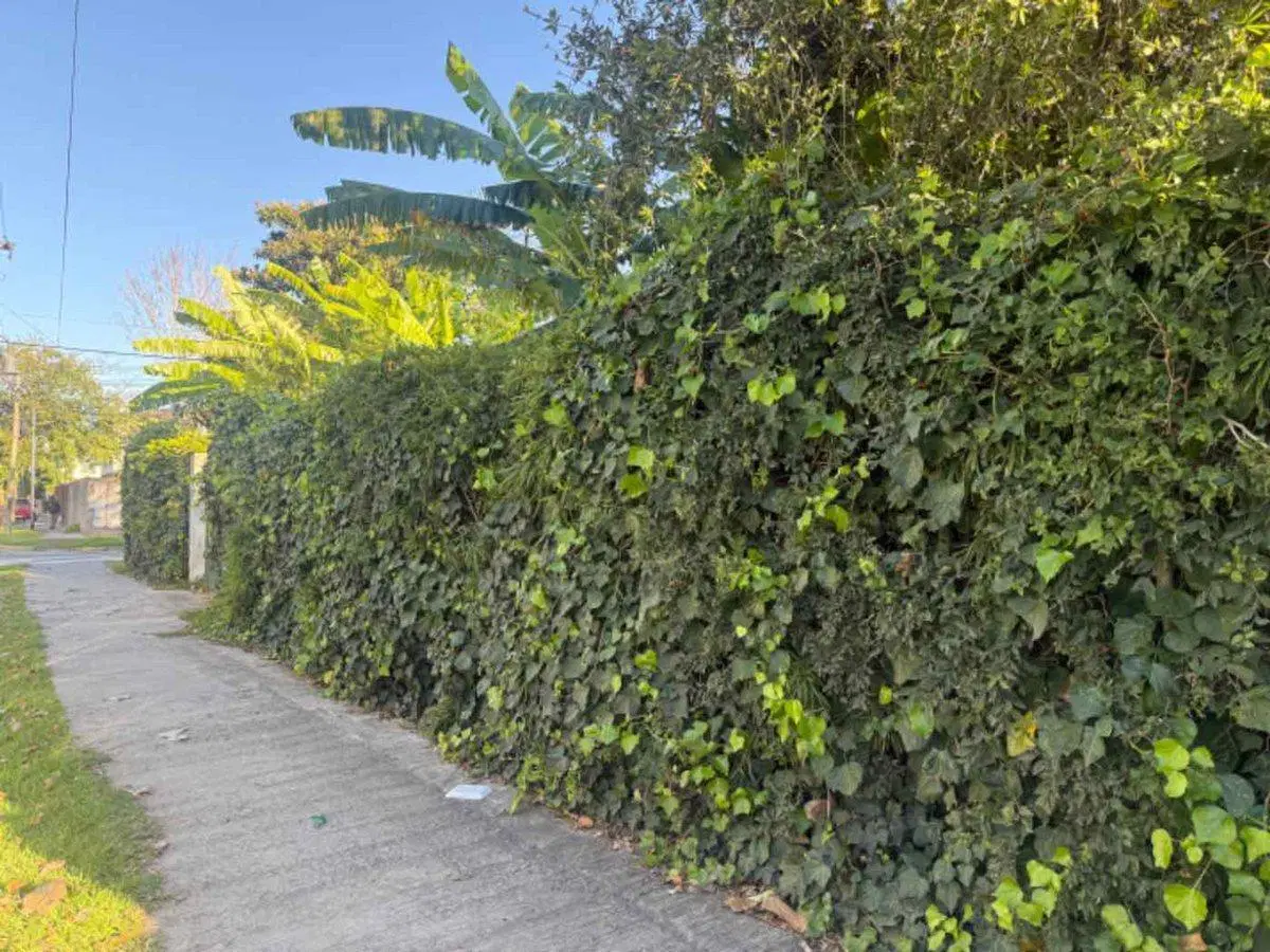VTA. CASA EN ESQUINA–IDEAL P/ ACTUALIZAR-BENAVIDEZ 3