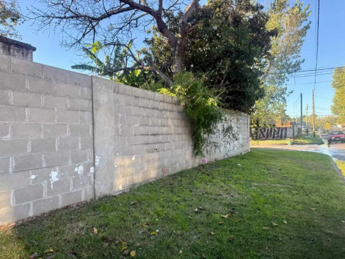 VTA. CASA EN ESQUINA–IDEAL P/ ACTUALIZAR-BENAVIDEZ 5
