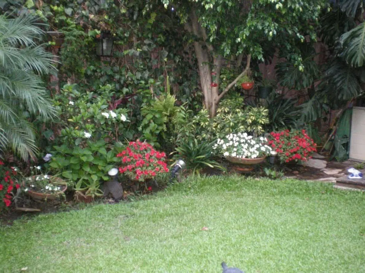 Dpto 3/4 Ambientes con Jardín 4