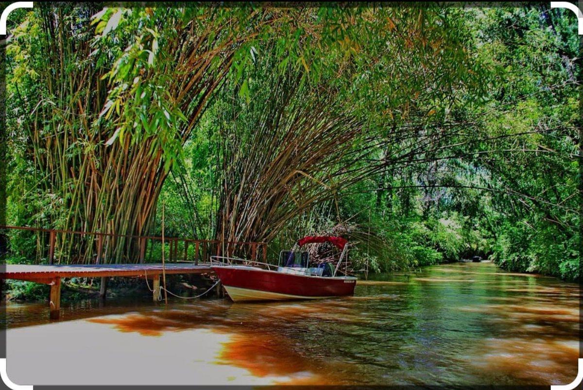 Foto de Lote Canal Urion y canal del Este 1 seccion Tigre, imagen 4