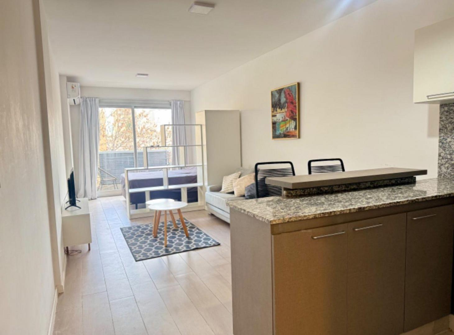 Foto de MONOAMBIENTE-C/BALC+AMENITIES-A/PROF.-H. ITALIANO, imagen 1