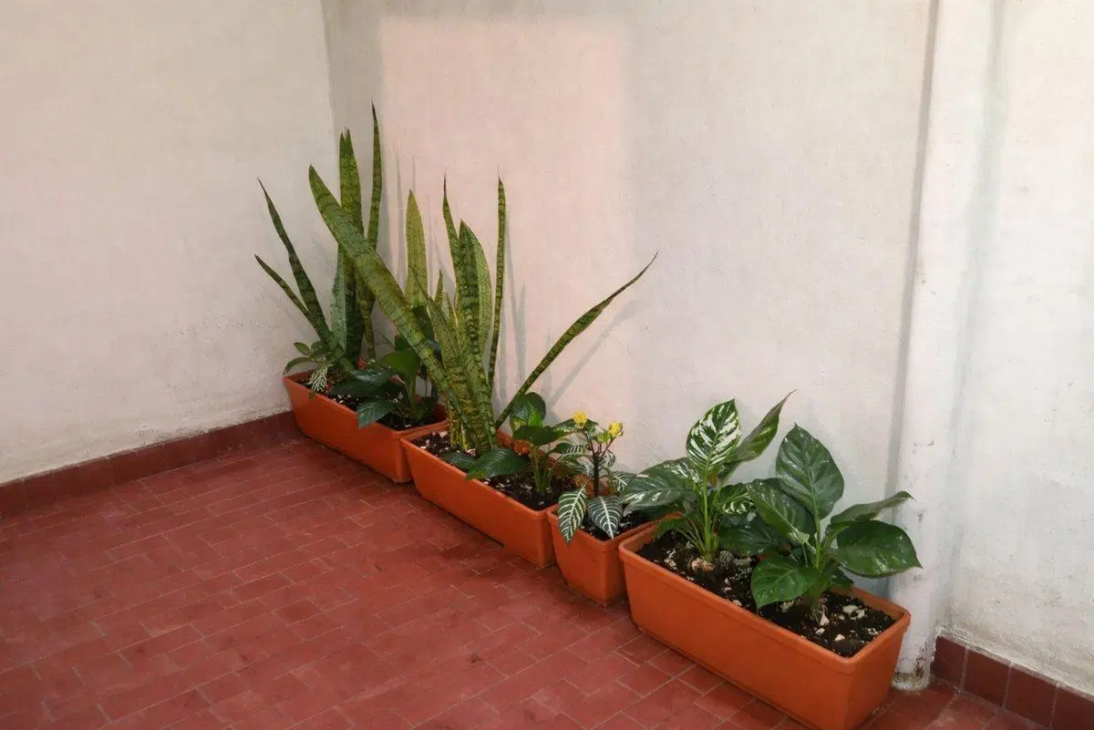 Venta 2 Ambientes en Almagro 2