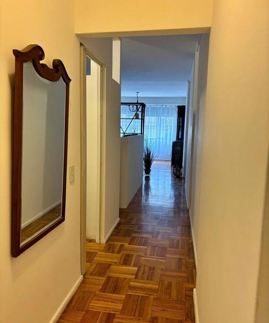 EXCELENTE Y AMPLIO MONOAMBIENTE DIVISIBLE 44m2 3