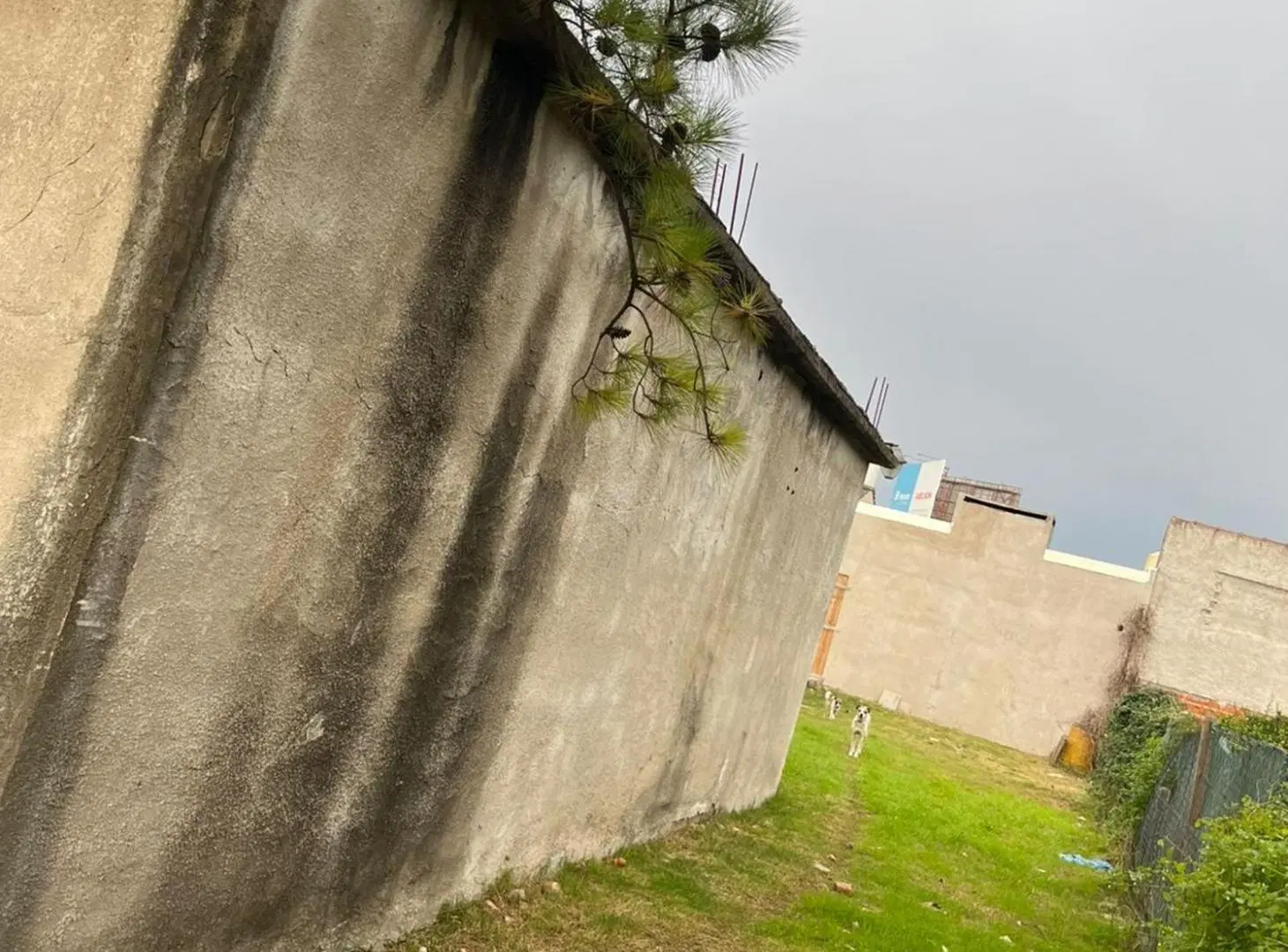 VENTA TERRENO DEL VISO 3