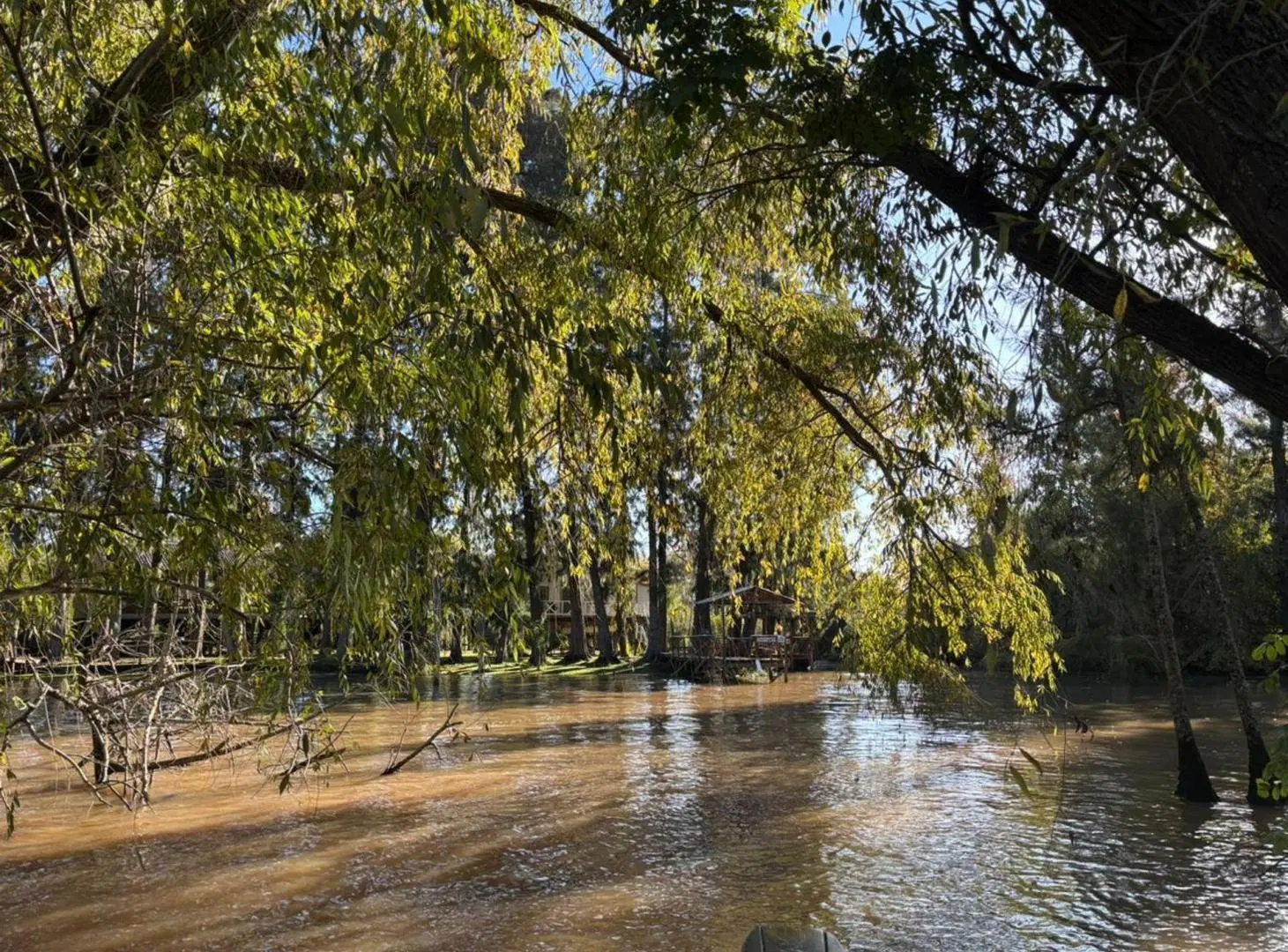 VENTA - EXCELENTE LOTE EN EL DELTA DE TIGRE 4