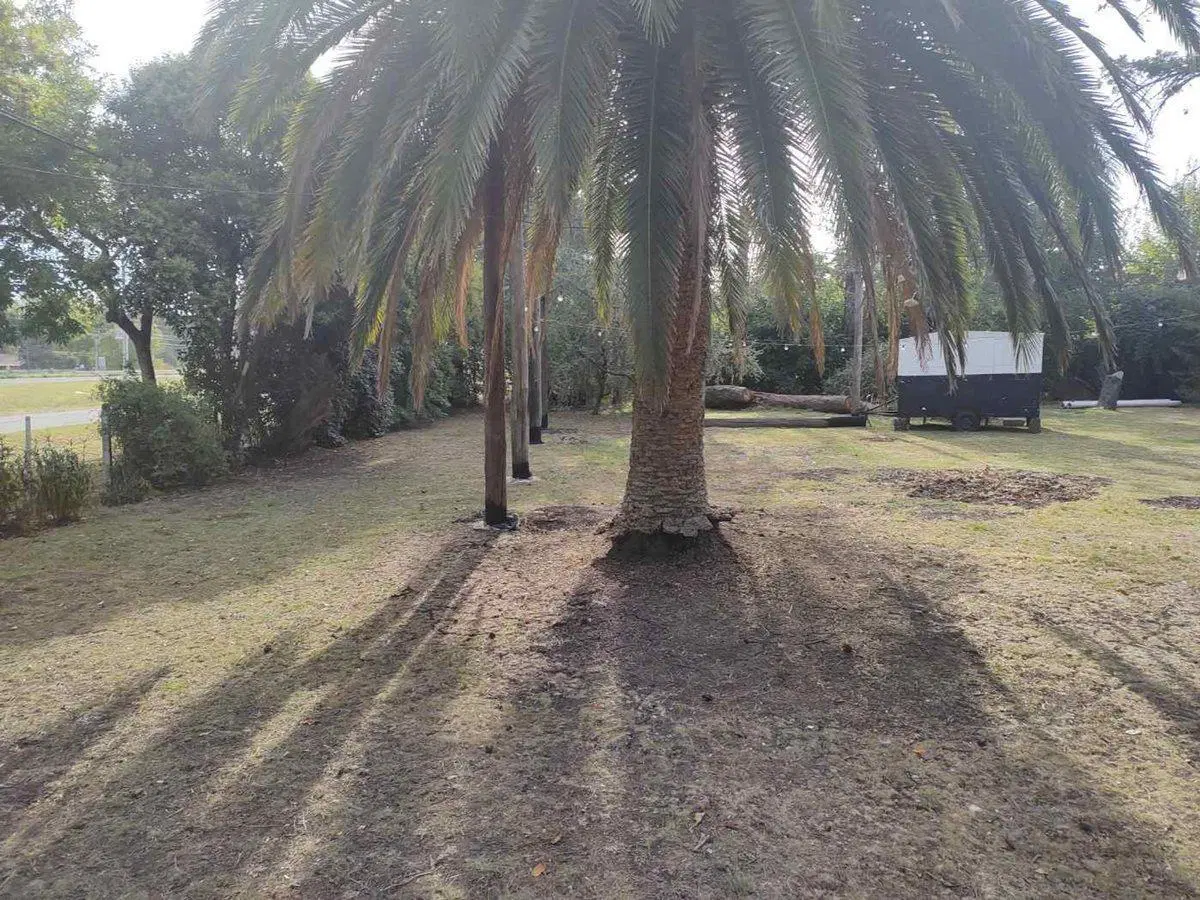 Fracción Comercial 3656 m² sobre Ruta 8 Km 75: 37m 2