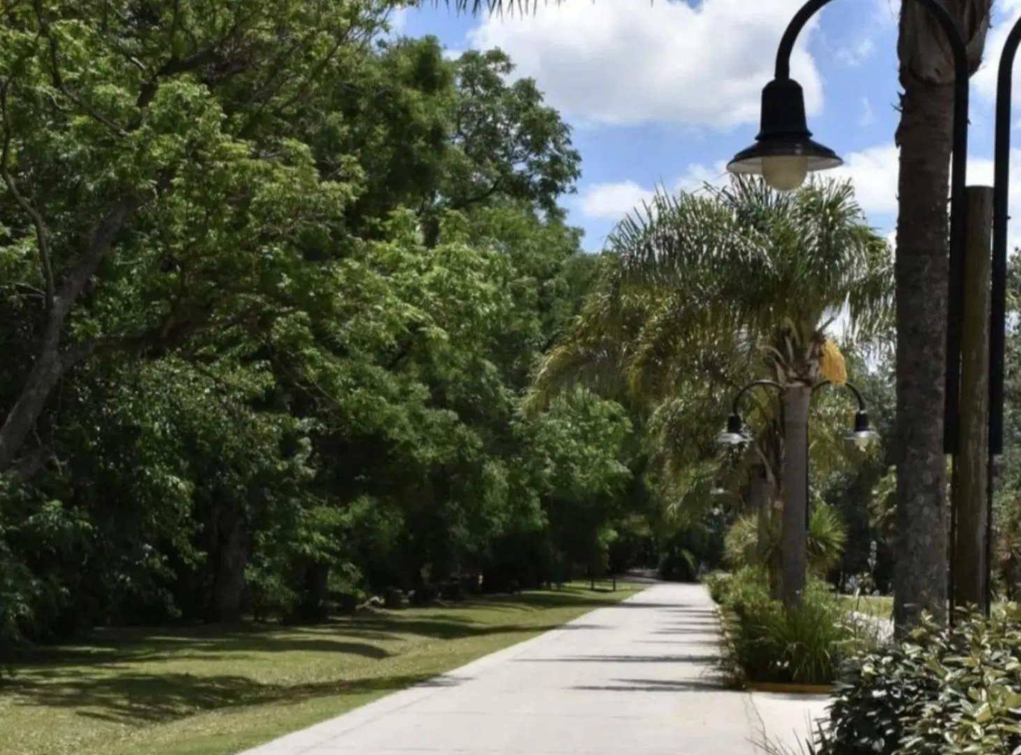 VENTA DE LOTE  LA MAGDALENA BARRIO GOLD CANNING 8