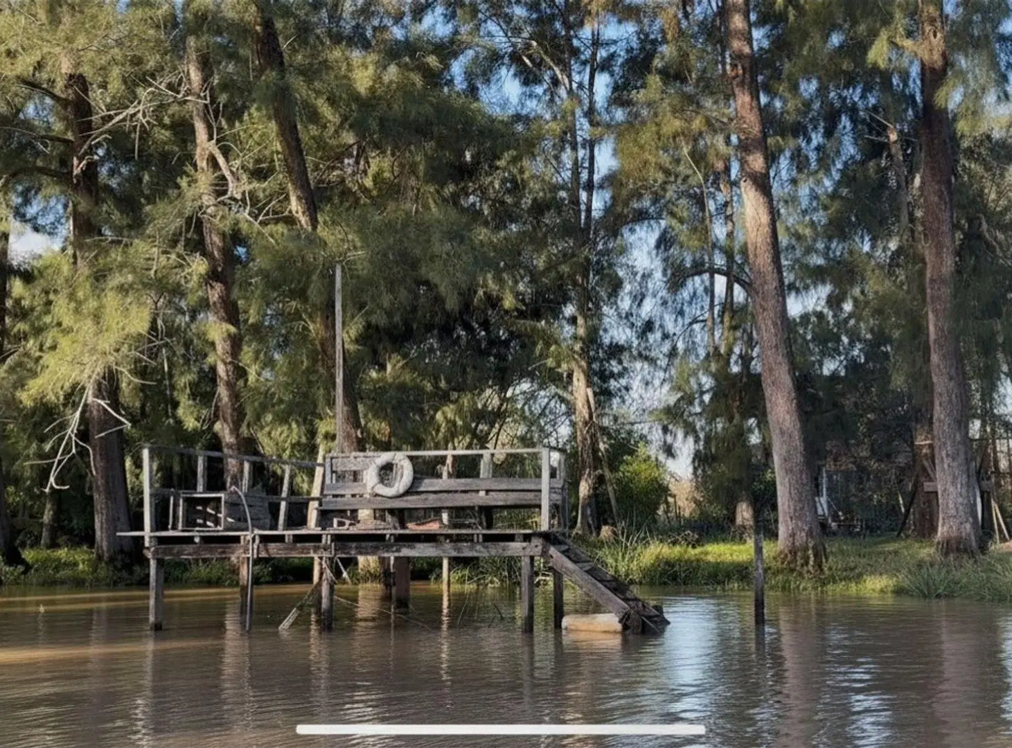 VENTA - EXCELENTE LOTE EN EL DELTA DE TIGRE 2