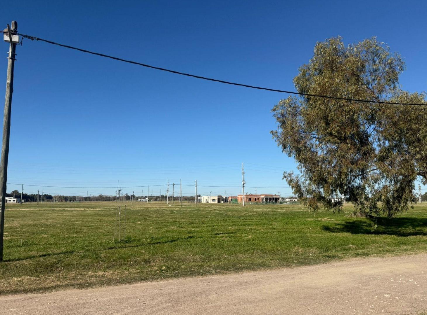 Foto de VENTA - LOTE EN FINCAS JOVEN – SAN VICENTE, imagen 4