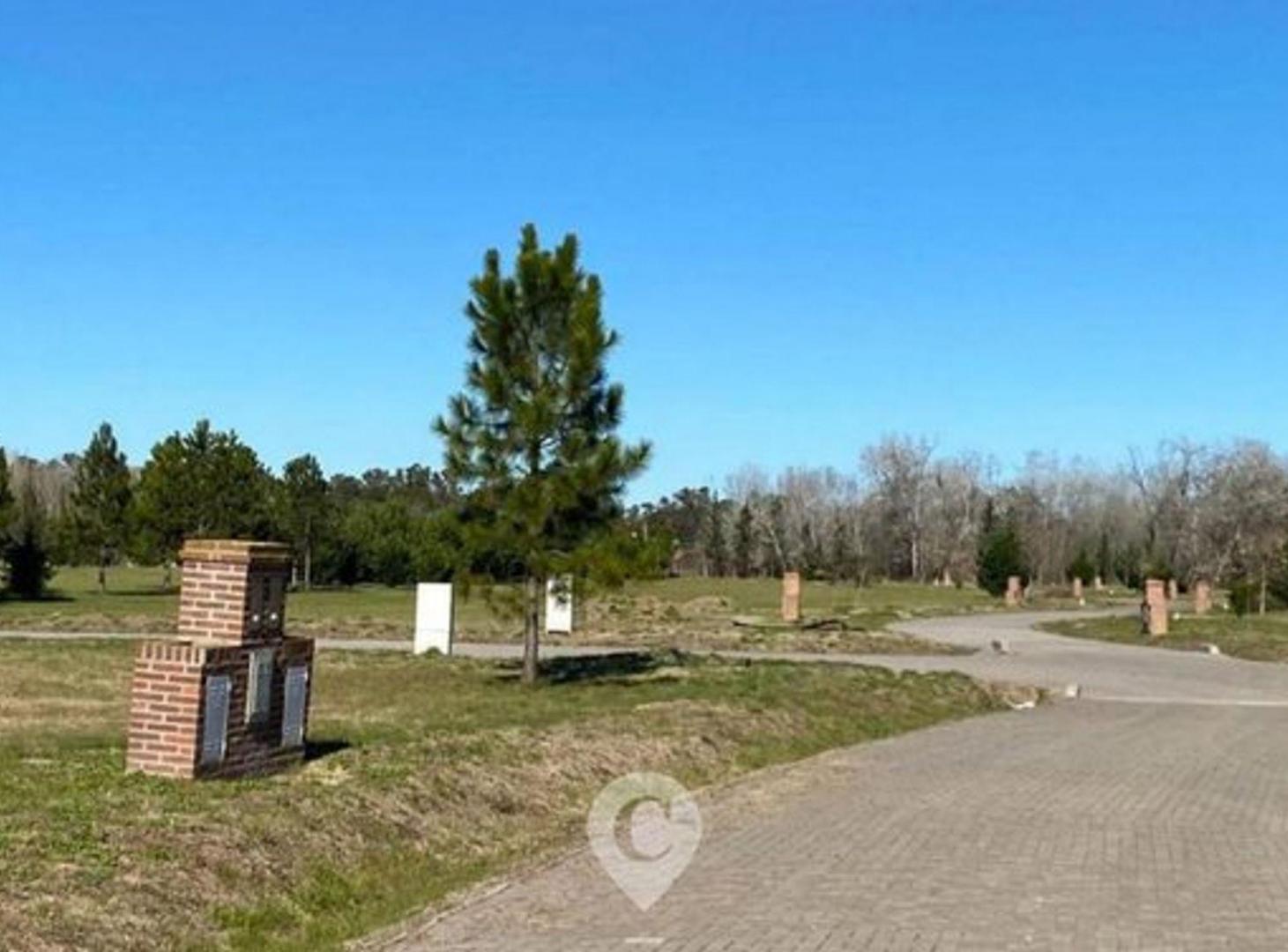 Foto de Terreno en Venta en El Cardal 3, imagen 2