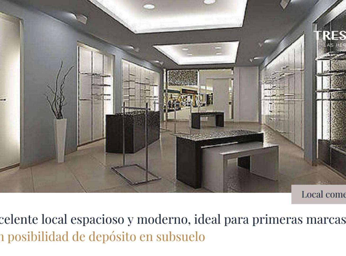 Foto de Local comercial a estrenar - 2 plantas - Recoleta, imagen 4