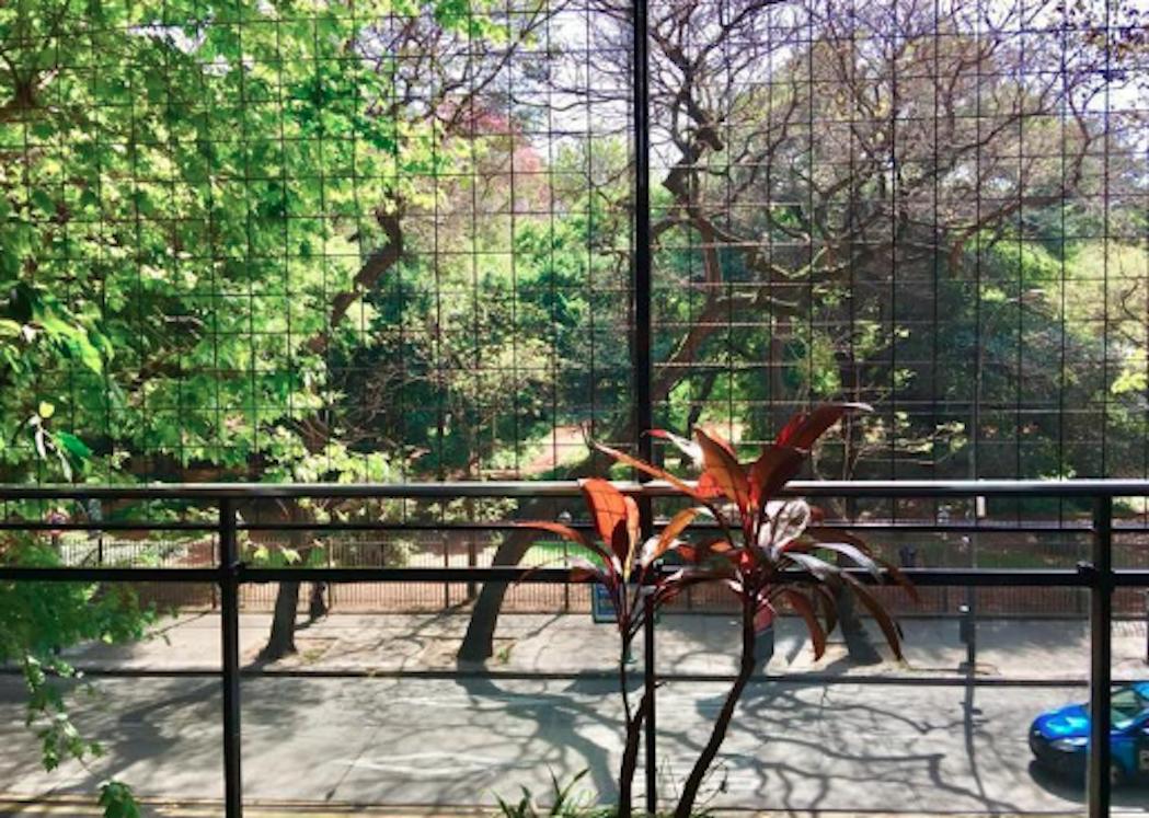 Foto de 4 ambientes - Piso hecho a nuevo - Vistas a Jardín Botánico, imagen 1
