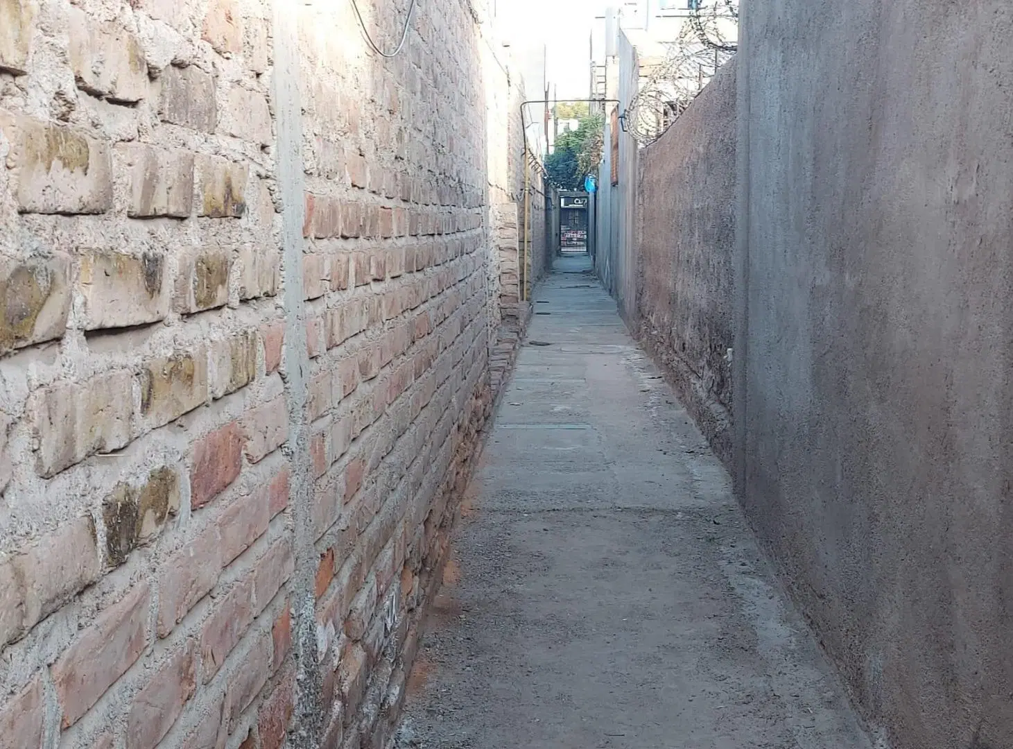LOTE INTERNO 2