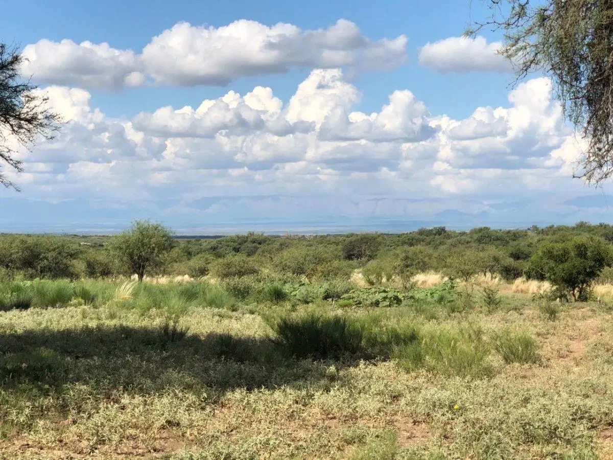 Alquiler Campo Mixto de 417 Ha a 70 km de Merlo. 3