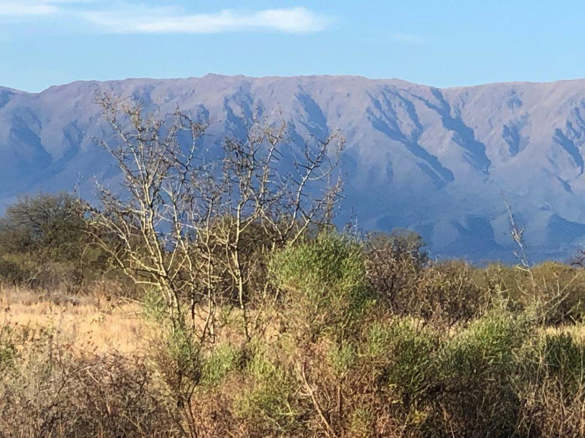 Foto de Venta campo 161 Ha en Santa Rosa del Conlara, imagen 1