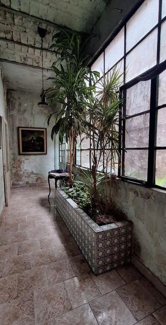 VERSALLES AVENIDA JUAN B.JUSTO 9400 HERMOSA CASA PARA RECICLAR 5 AMBIENTES MAS LOCAL LOTE 8.66 X 28 5