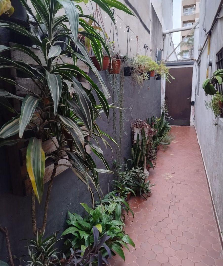 Ph 3 amb con Galpon
