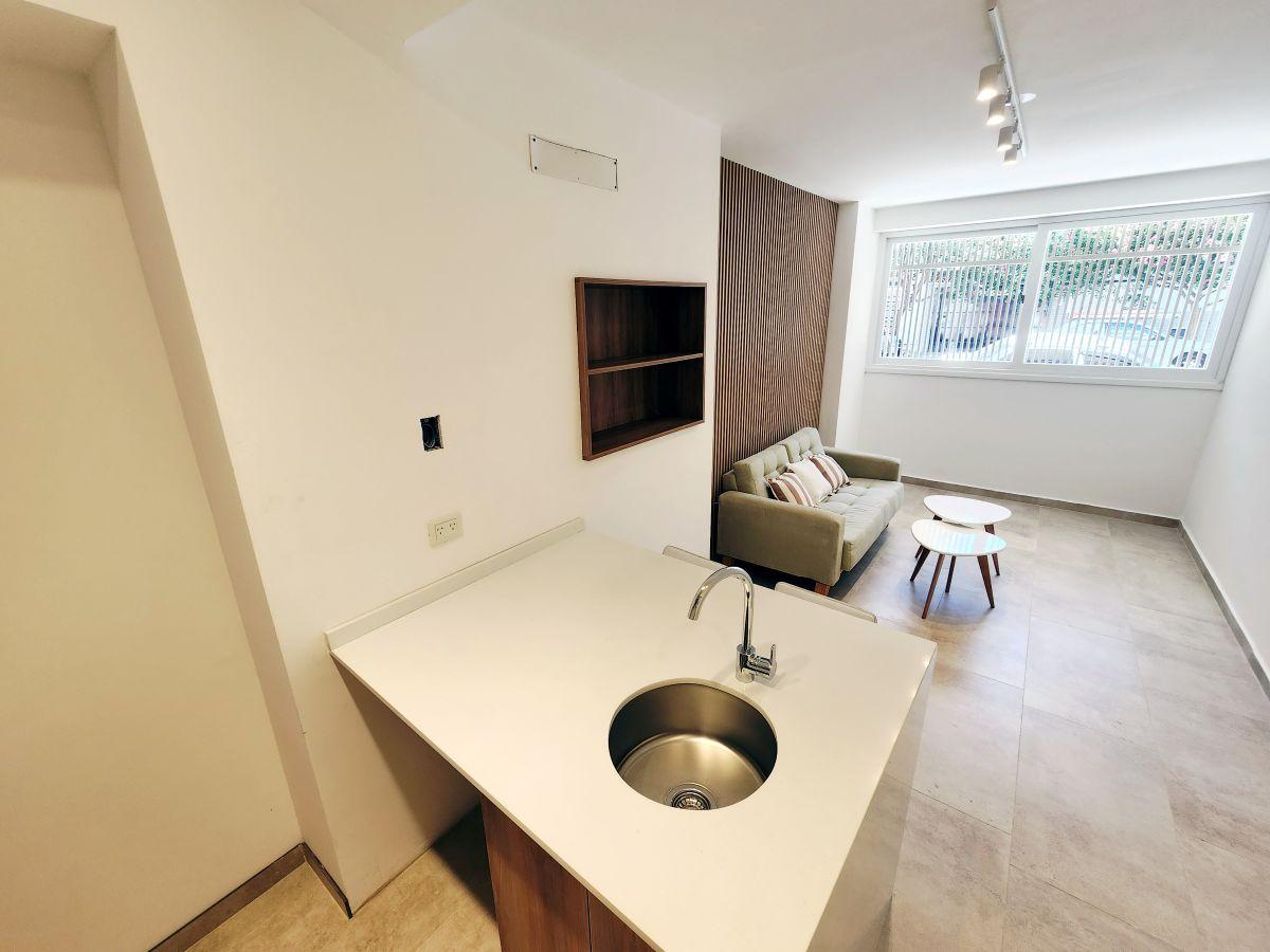 Foto de DEPARTAMENTO DE 2 AMBIENTES ZAPIOLA E IBERA, imagen 2