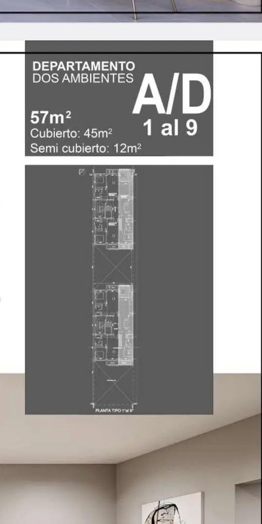 Plano 5