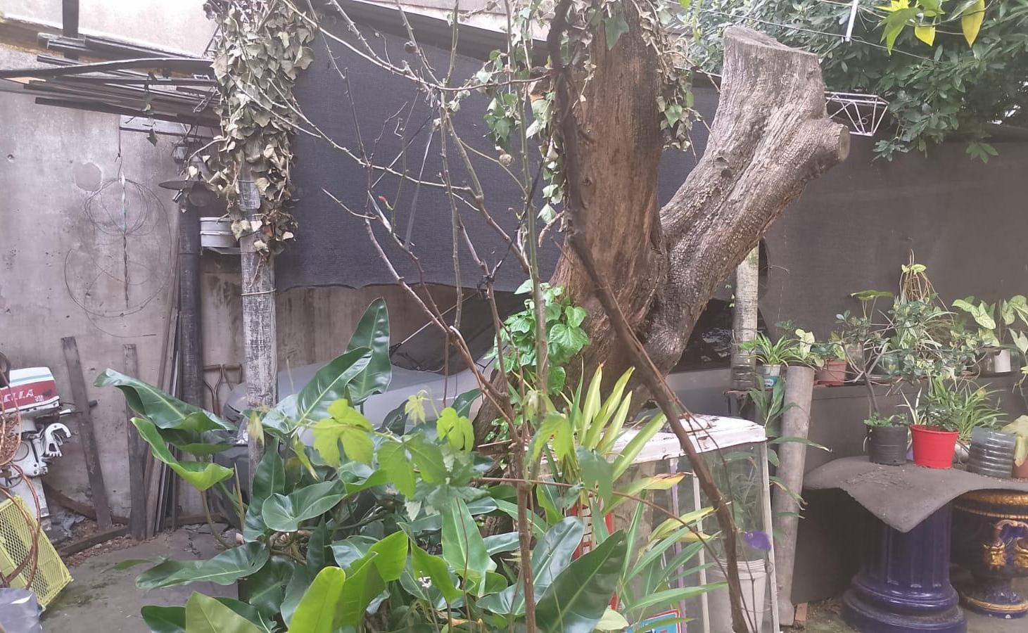 Foto de Terreno en Venta en Villa Domínico, imagen 3