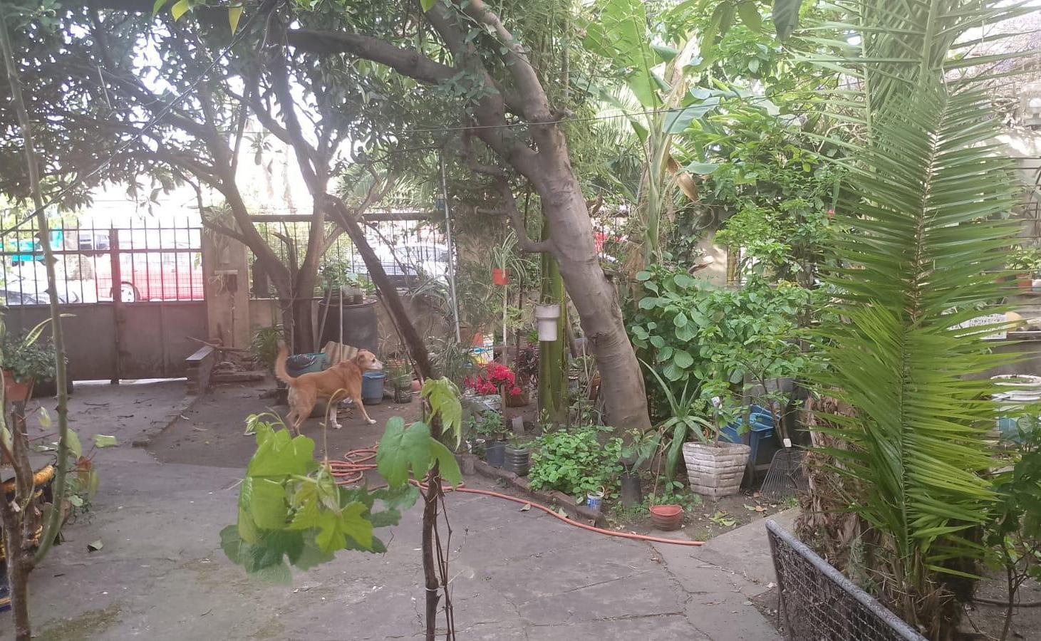 Foto de Terreno en Venta en Villa Domínico, imagen 1