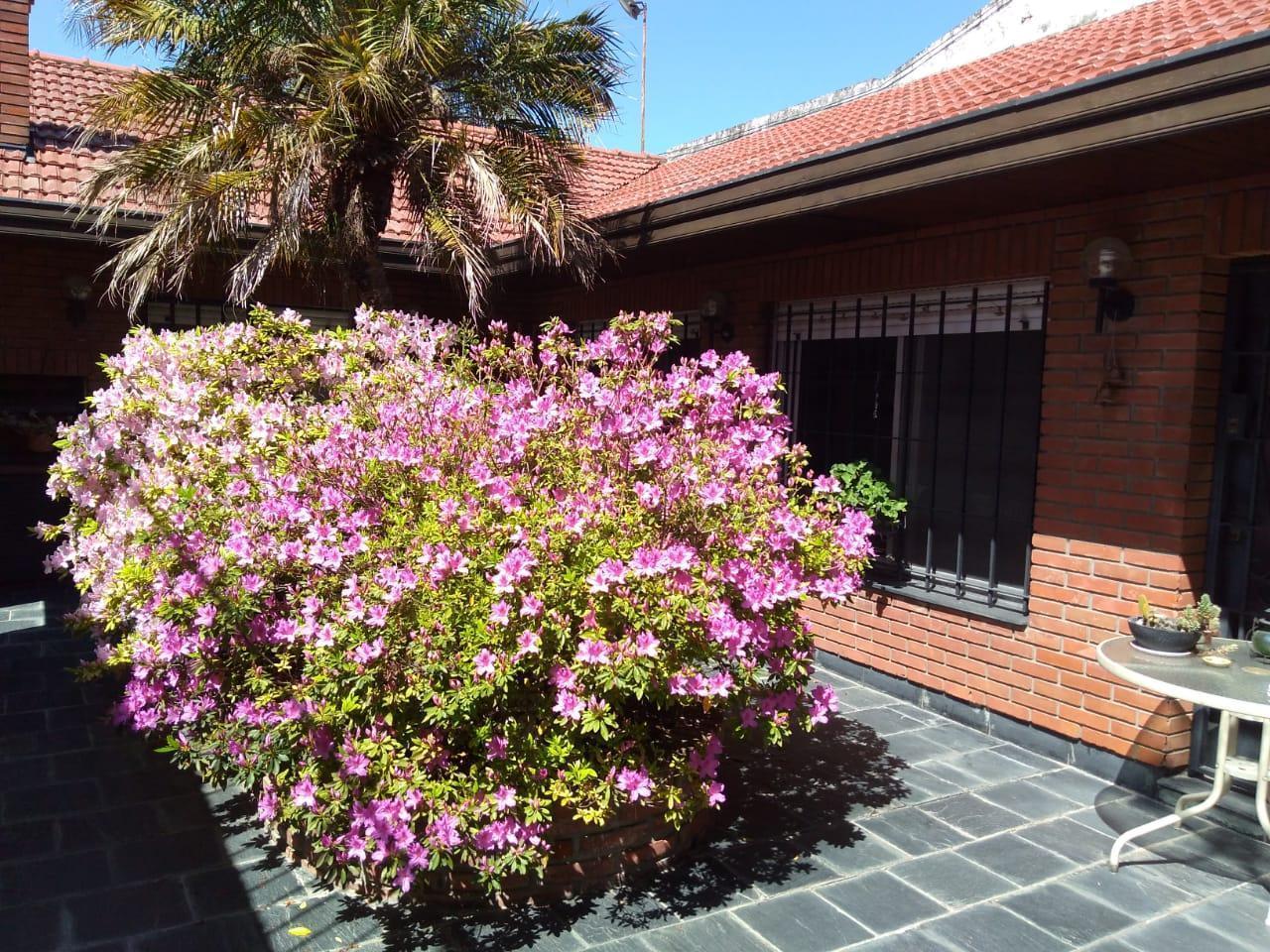 Foto de Casa venta wilde 3 dormitorios amplio lote 4 ambientes pileta quincho, imagen 1