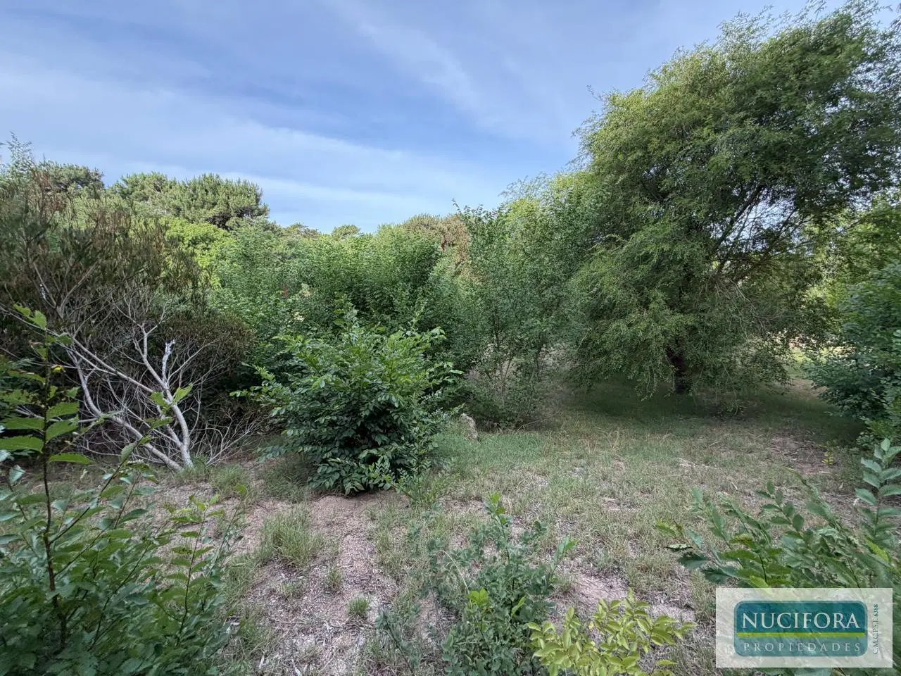 Terreno en Ostende / Lote 800m2 5