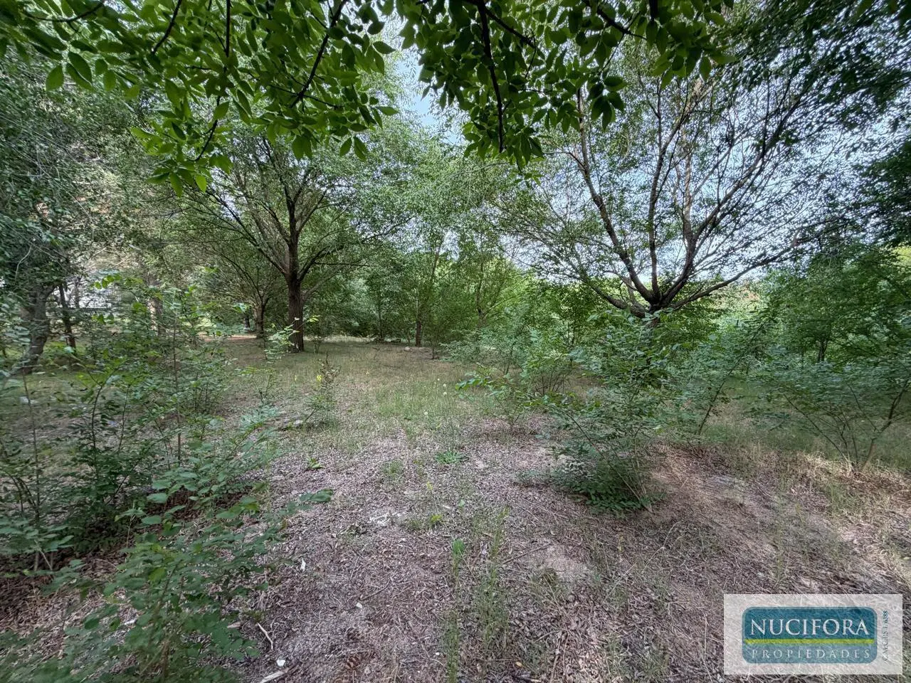 Terreno en Ostende / Lote 800m2 2
