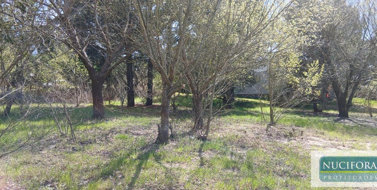 Foto de Terreno en Ostende, imagen 4