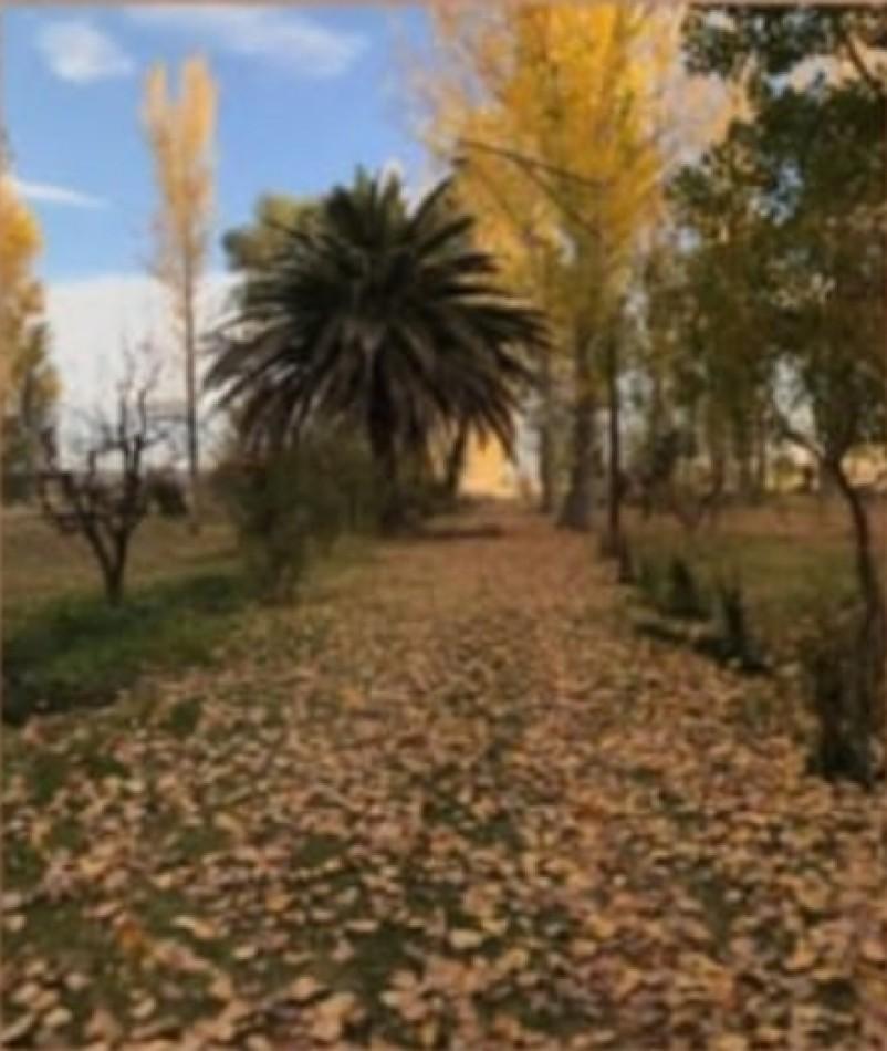 Vendo Finca 42 Has en San Rafael con Casa Patonal 4 Dorm. + Piscina + Galpones + Prod de Ci 2