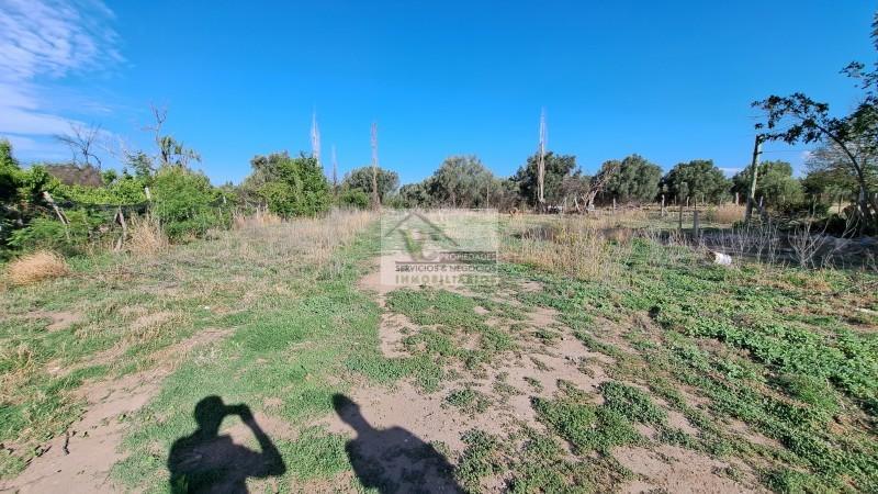 Vendo Propiedad 2200 m² Aprox, Casa Amplia a Reparar. El Cerrito. San Rafael 2