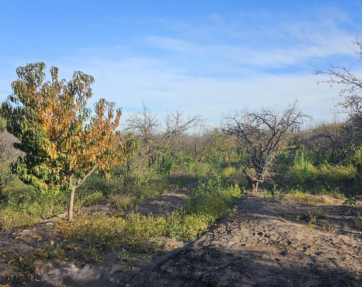 ¡Oportunidad Unica en Rama Caida, San rafael!¡Una Propiedad Excepcional en La Zona de Rama Caida, a 2