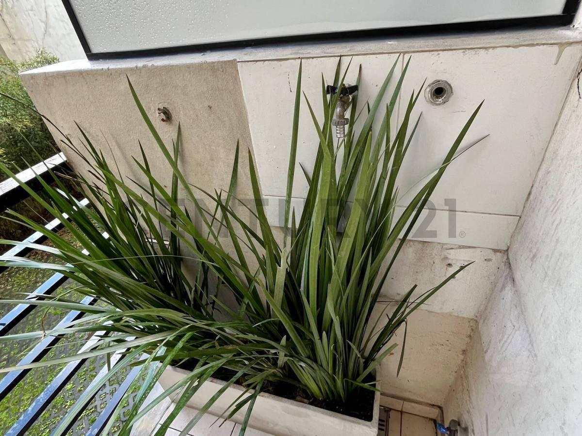 Foto de Palermo- Impecable monoambiente contrafrente reciclado, con balcon, imagen 1