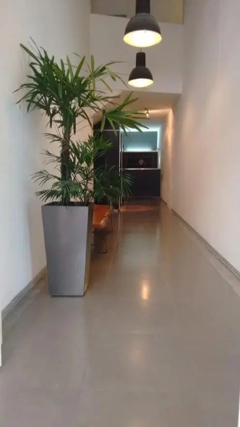 CON TERRAZA PROPIA 4