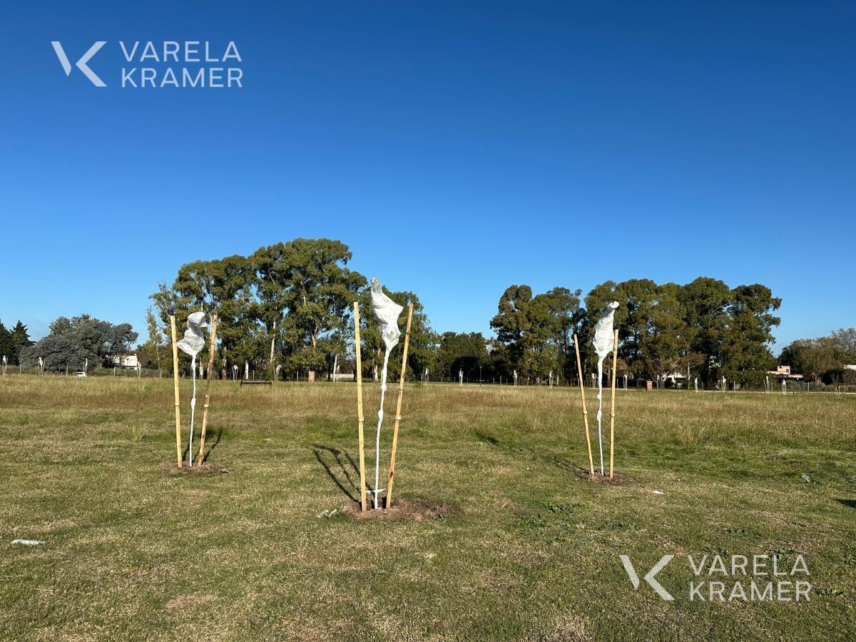 Foto de Terreno en Estancias del Pilar, imagen 5