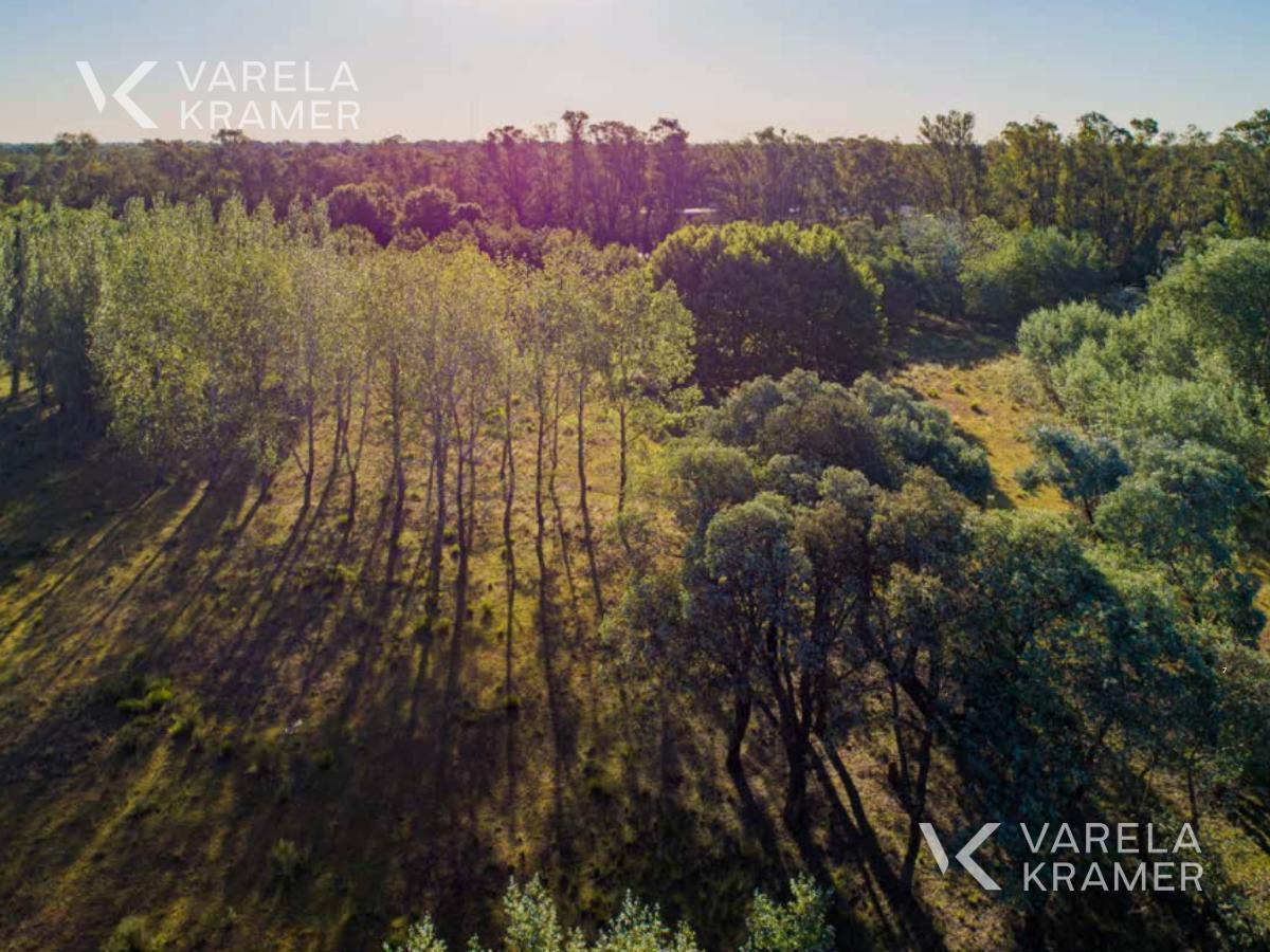 Foto de Lote en venta en Barrio Azurra Tortugas, imagen 5