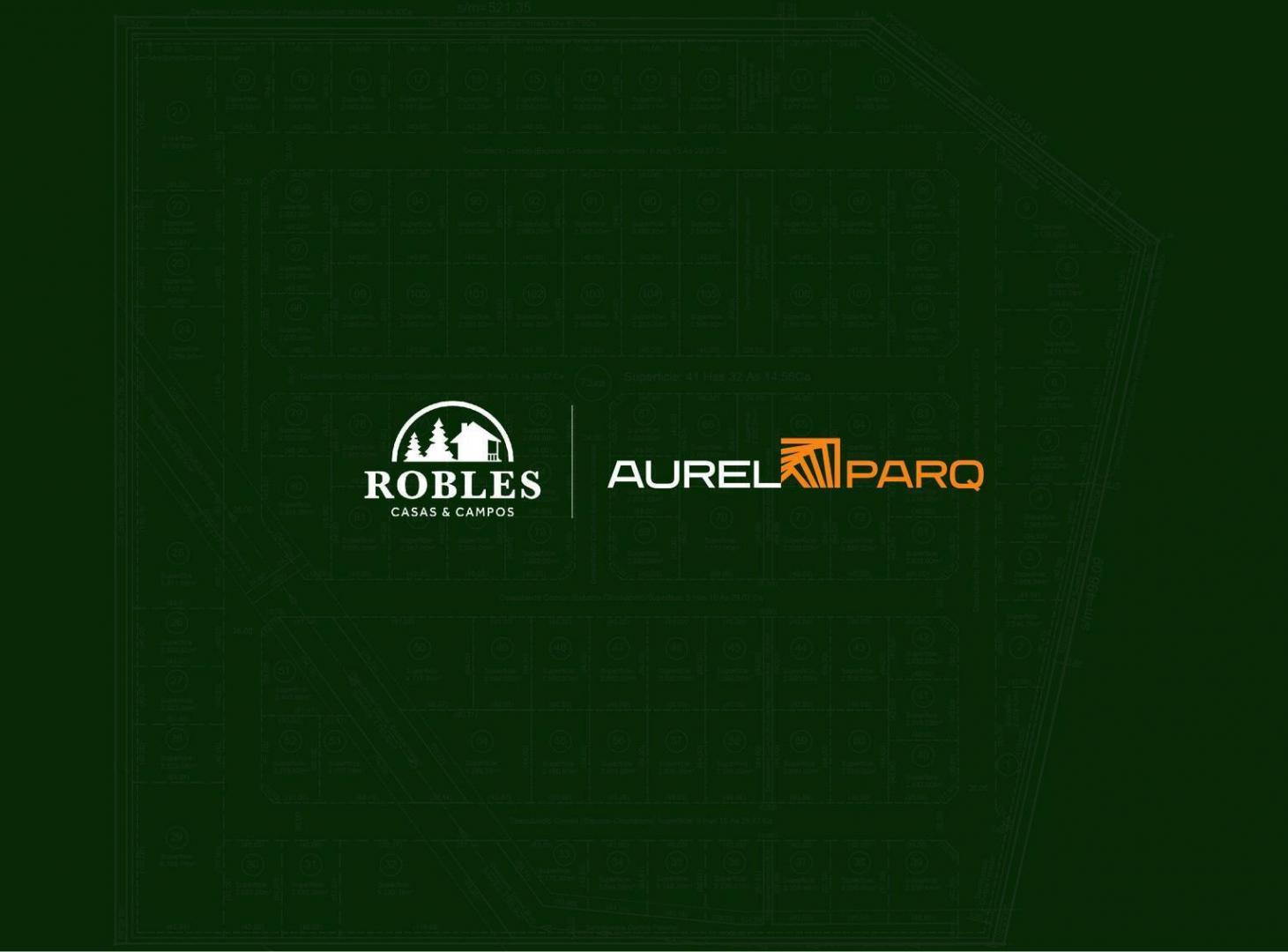 Foto de Aurel parq, imagen 3