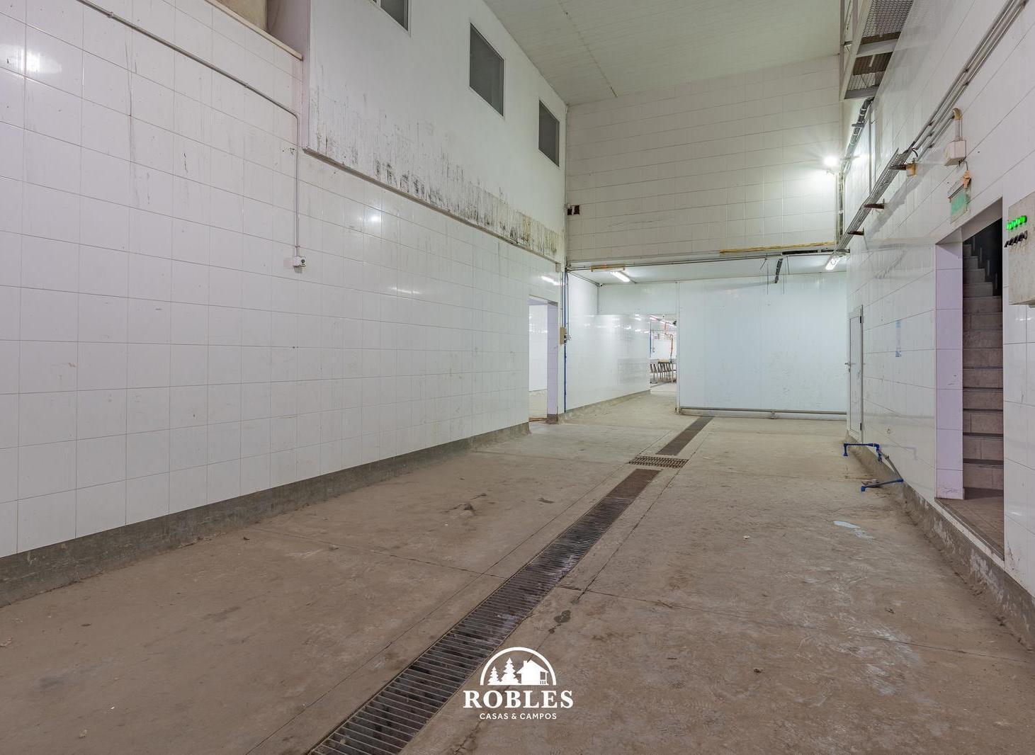 Foto de Planta industrial en el Puerto de la ciudad, imagen 3