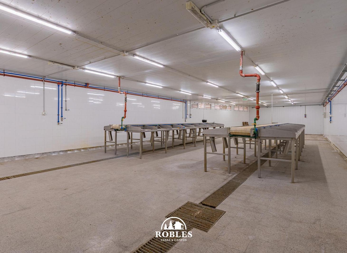 Foto de Planta industrial en el Puerto de la ciudad, imagen 1