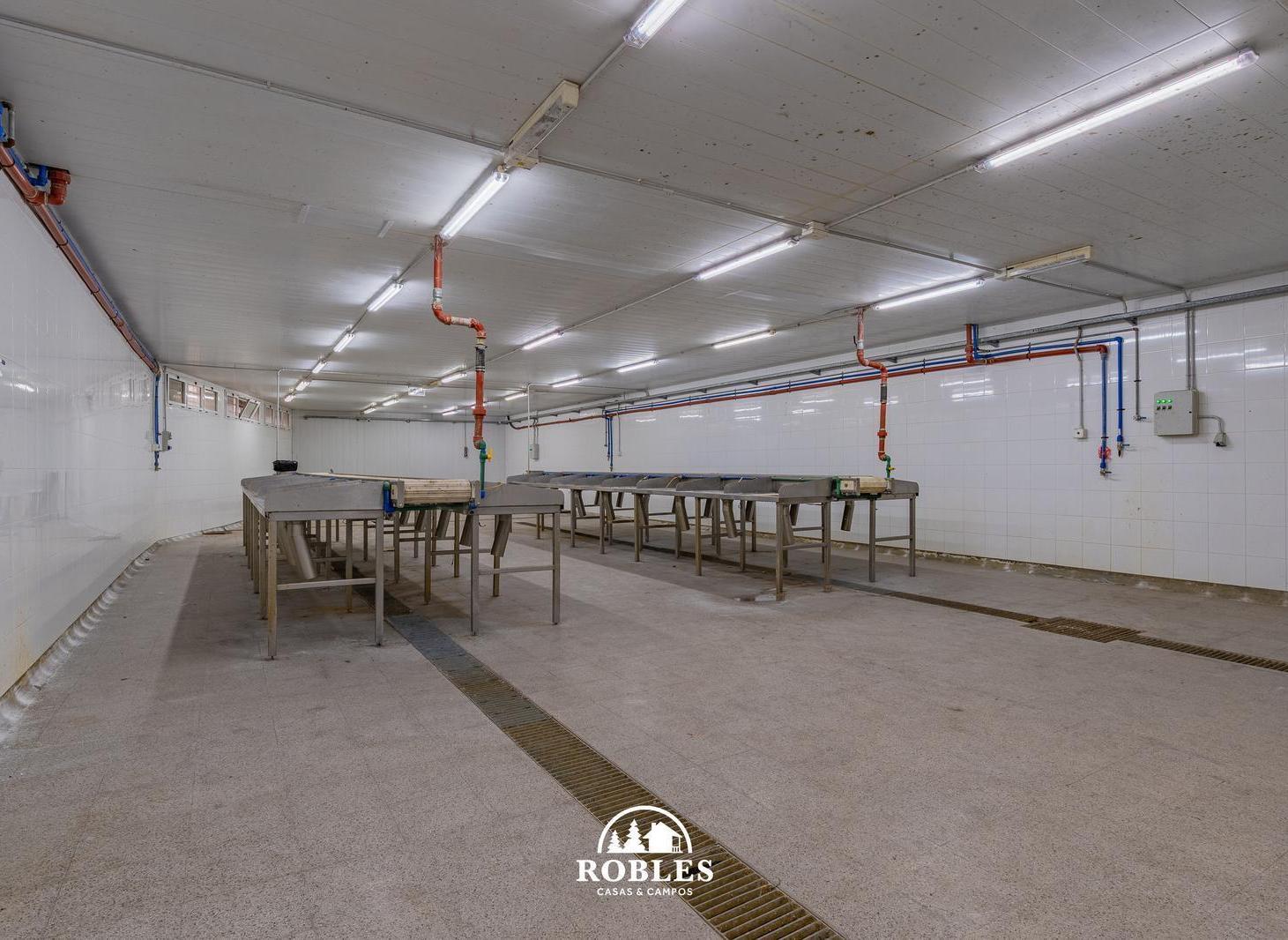 Foto de Planta industrial en el Puerto de la ciudad, imagen 2