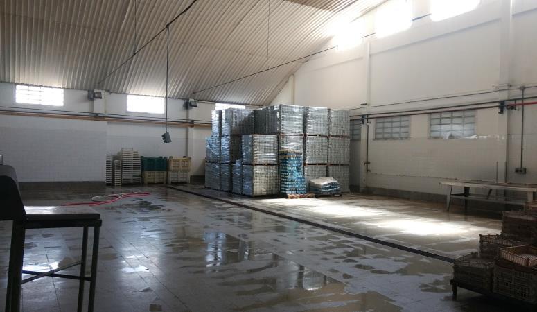 Foto de Importante Planta Industrial – Logística, en excelente ubicación., imagen 5