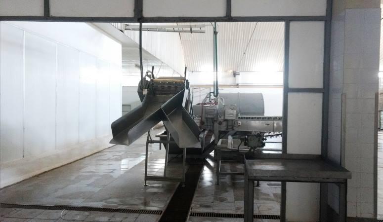 Foto de Importante Planta Industrial – Logística, en excelente ubicación., imagen 5