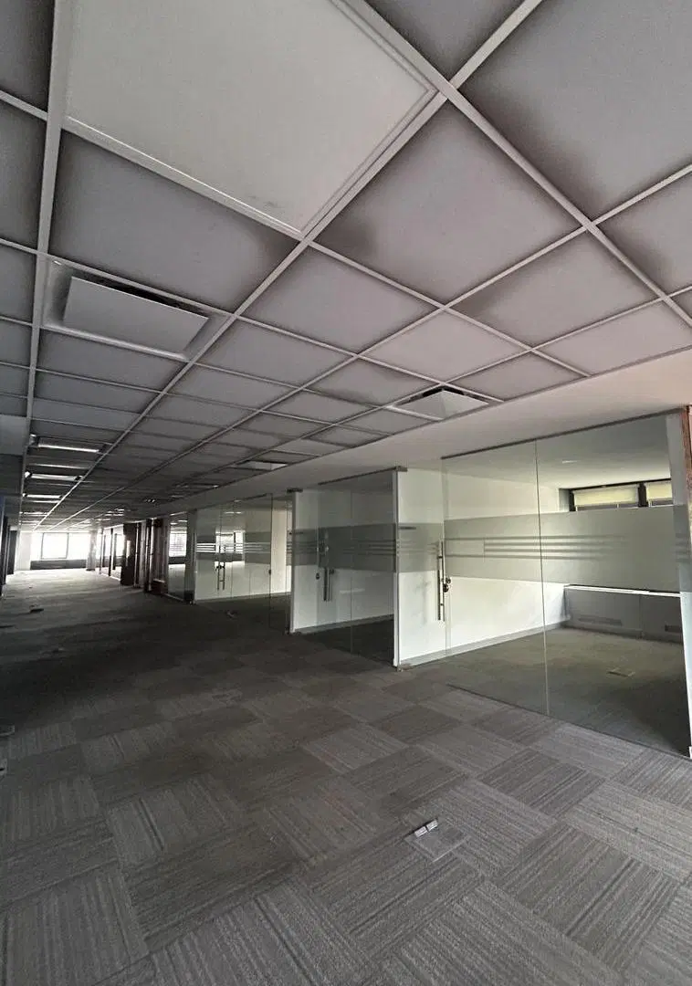 Oficina 1000m2 sobre Leandro N. Alem (frente Sheraton) 2